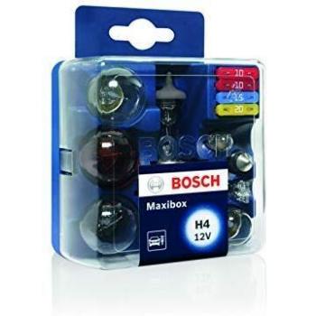 Estuche de lámparas Bosch para SEAT e CITROËN, incluye bombillas incandescentes H4 Maxibox +P21W R5W T4W PY21W P21/5W W5W C5W