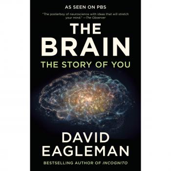 The Brain: The Story of You