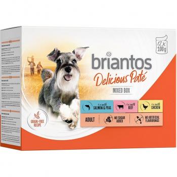 Briantos Delicious Paté 48 x 100 g comida húmeda pack mixto: pollo, vacuno y salmón