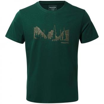 Craghoppers Calvino Short Sleeved Camiseta, Hombre, Mountain Green Linear, Large