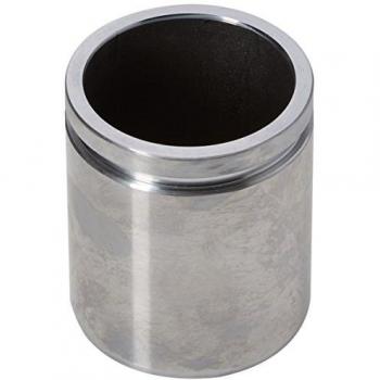 Émbolo de pinza de freno AUTOFREN SEINSA D025619