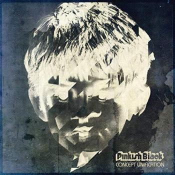 Concept unification [Vinilo]
