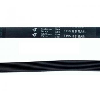 Correa Lavadora 1195 H8 MAEL