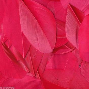 Sachet de Plumas Fucsias - 6 cm