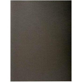 Exacompta 217109E - Lote de 10 Subcarpetas RockS 220, Color Gris