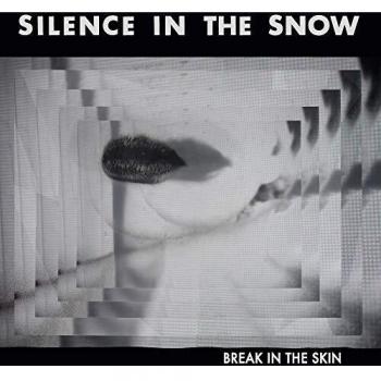 Break In The Skin [Import allemand]