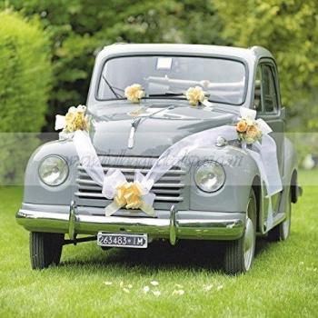 Kit Decoración para Coche de Boda 5501 Blanco - Incluye 2 Tiras de 6800 mm, 1 Matassina y 1 Rollo de TNT de 100 m