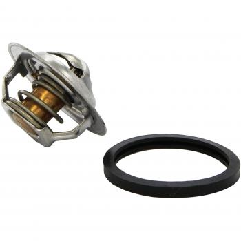 Termostato refrigerante TRISCAN 8620 13888
