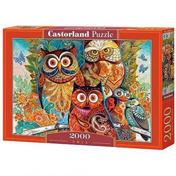 Castorland 2000 Piece Owls Jigsaw Puzzle by David Galchutt
