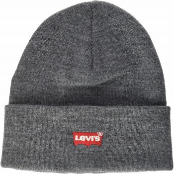 Levi's Women's Slouchy Beanie in Grey with Embroidered Batwing Logo