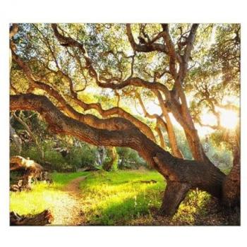Impresión sobre Lienzo Árbol Multicolor 100x3x70 cm - Poliéster y Madera EPIKASA