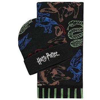 Harry Potter - Hogwarts Houses Beanie and Scarf Set - Multicolored - One Size - 100% Polyacrylic