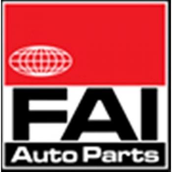Fai Kit de Cadena de Distribución TCK286VVT