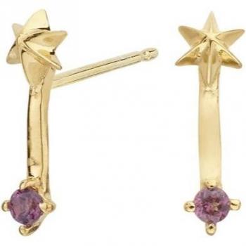 Pendientes rodolita granate bañados en oro Itemporality SEA-205-148-UU
