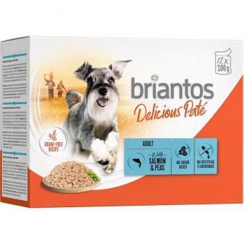 Briantos Delicious Paté 48 x 100 g comida húmeda Salmón