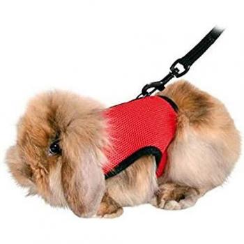 Trixie 61512 Harness for Small Animals for Guinea Pigs Nylon 13 - 17 cm / 18 - 25 cm, Assorted Colors