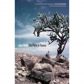 The Plain in Flames: Latin American Art & Culture Series (Paperback)