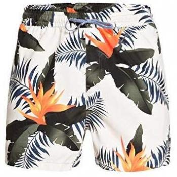 Quiksilver Poolsider 15 - Short De Natación para Hombre Jam/Volley, Hombre, Antique White, M