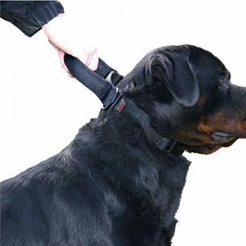 Collar de perro de intervención ajustable con asa de nylon Martin Sellier - 50/70 x 4 cm