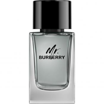 Mr. Burberry Eau De Toilette 100ml Spray For Him