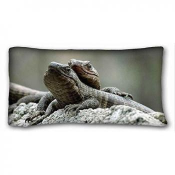 Generic Personalized ( Animals lizards steams stone ) Pillow Cushion Case Cover One Sides Printed 20x36 Inches suitable for Full-bed PC-Red-17521