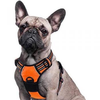 Eagloo Arnes de Perro Antitirones Cómodo Chaleco Ajustable Correa al Cuello y Pecho para Perros Pequeños Material Duradero Transpirable con Cinta Reflectante Adaptarse a Ejercer Externo S/Naranja