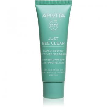 APIVITA Crema Anti-imperfeciones Matificante Hidratante 40 ml, Gel-crema para pieles grasas, con Niacinamida, hidratante y matificante