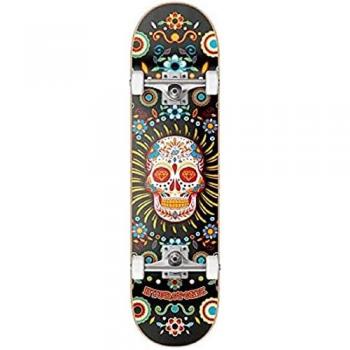 Skateboard Completo Hydroponic Mexican S0186-01 Black 8,125