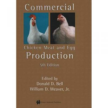 Hybrid Broiler Layer Chicken for Meat and Egg Production