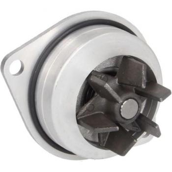 Bomba de refrigerante y agua INA 538 0052 10