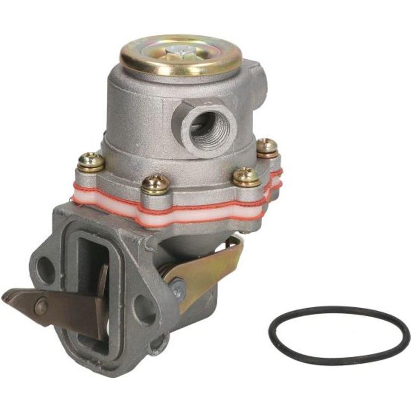 Imagen Principal
