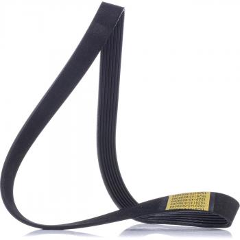 Correa Poly-V RIDEX 305P0186 para FIAT, NISSAN y ALFA ROMEO - Cinghia de servicios 1078mm x 24,9mm