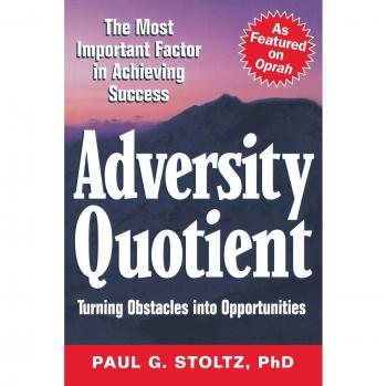 Adversity Quotient Paperback: Transforming Challenges into Opportunities by Paul G. Stoltz
