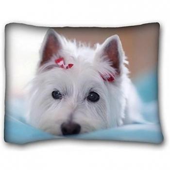 Custom Characteristic ( Animals dogs beautifuls decoration eyes face lie ) Soft Pillow Case Cover 20*26 Inch (One Sides)Zippered Pillowcase suitable for Queen-bed PC-Bluish-48017