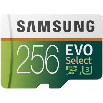 Samsung EVO Select - Tarjeta de Memoria microSDXC de 256 GB con Adaptador SD, 100 MB/s, U3, Color Verde y Blanco