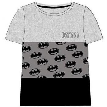 Camiseta Corta Premium Single Jersey Batman