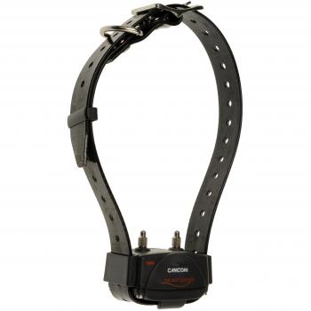 Collar de adiestramiento Canicom con correa negra