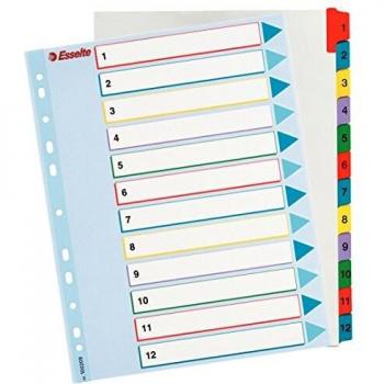 Esselte Índices Proyectos Borra y Reescribe, Tamaño A4 maxi, 12 pestañas, Multicolor, 100209