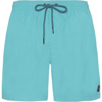 Protest Faster Men's Quick-Dry Beach Shorts