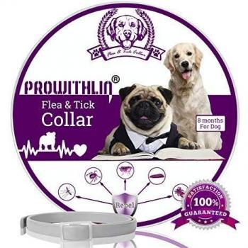 prowithlin Collar Antiparasitario para Perros contra Pulgas, Garrapatas Y Mosquitos, 8 Meses de Duración de Protección, Composición de Aceite Natural, No tóxico y Seguro