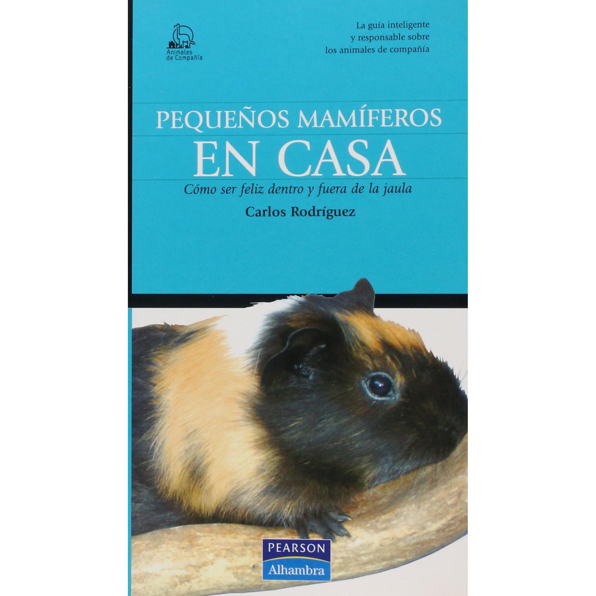 Imagen Principal