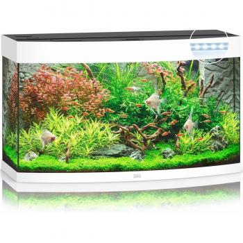 Acuario Juwel Vision LED 180 Blanco con iluminación LED integrada, capacidad de 180 litros, diseño en forma de esquina para maximizar el espacio, cristal curvado frontal para una vista panorámica, filtro interno Bioflow para un