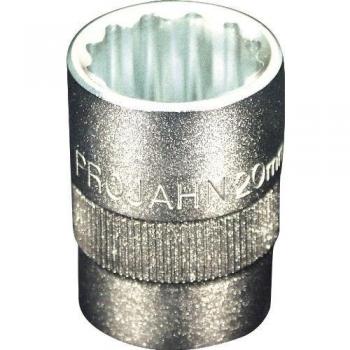 Projahn 301213 - Conector para destornilladores