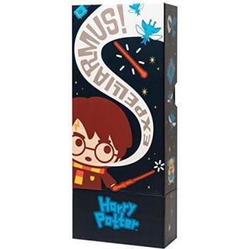 Grupo Erik MARE0094- Estuche para lápices de Harry Potter, 2 compartimentos, organizador de escritorio