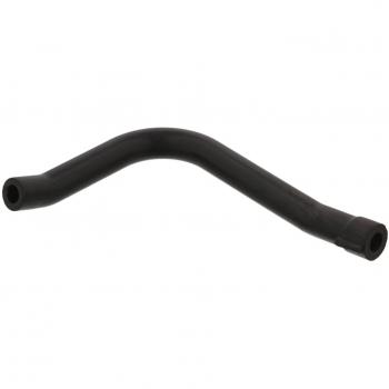 Tubo Flexible de Ventilación para Cárter FEBI BILSTEIN 33865