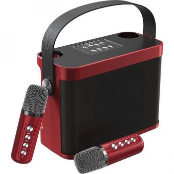 DAM Kit de Karaoke Bluetooth 10W con Altavoz y 2 Micrófonos, Batería Incorporada, Dimensiones: 24,3x10,5x17,2 Cm