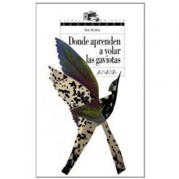 Donde aprenden a volar las gaviotas literatura juvenil a partir de 12 anos espacio abierto