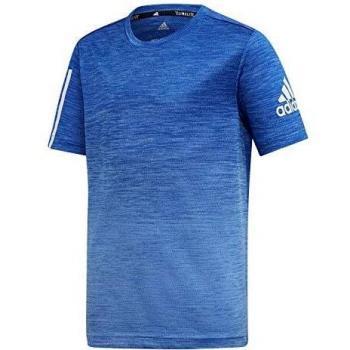adidas Yb TR Grad tee Camiseta, Unisex niños, azurea/Reauni/Blanco, 140