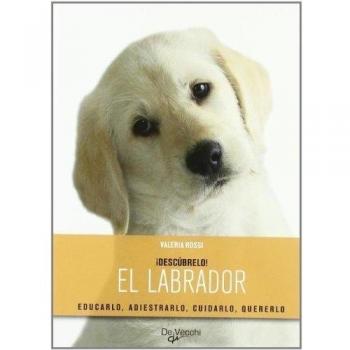 Labrador, el