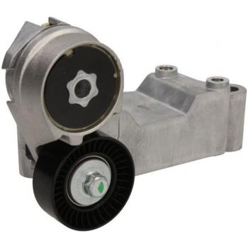 LUK 534014610 Tensioner